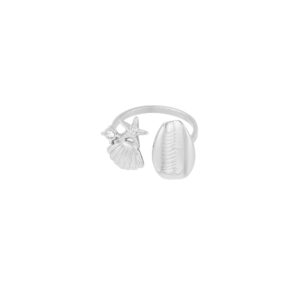 Oceaan Breeze Ring zilver