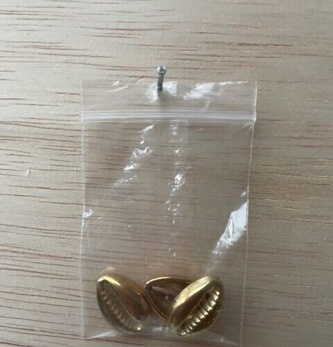 Gouden Kauri Schelpen