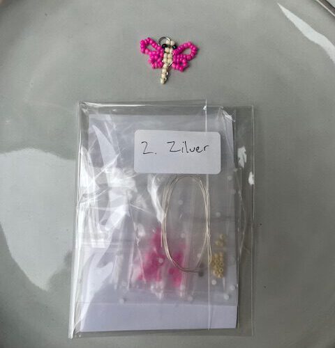 Libellebedel Set 2 zilver