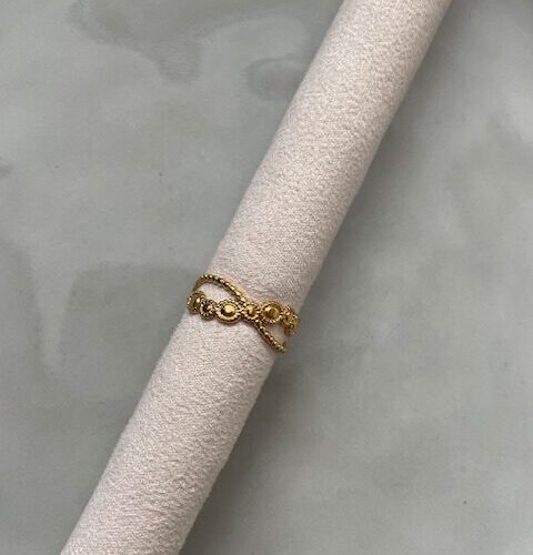 Dubble Ring goud