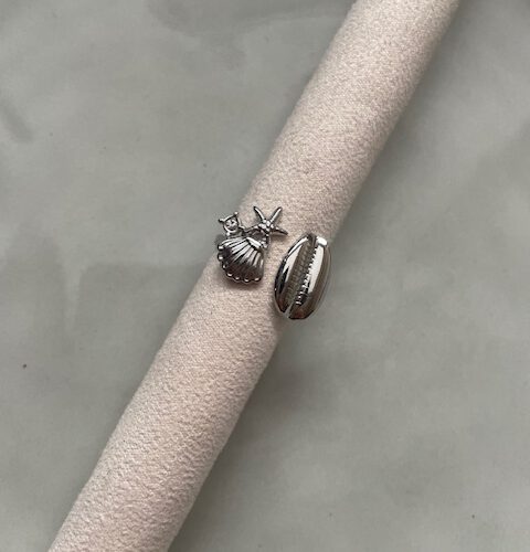 Oceaan Breeze Ring zilver