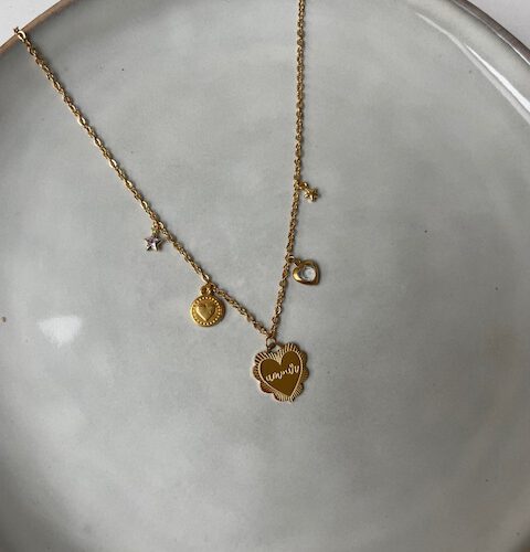 Bedelketting Goud (8)