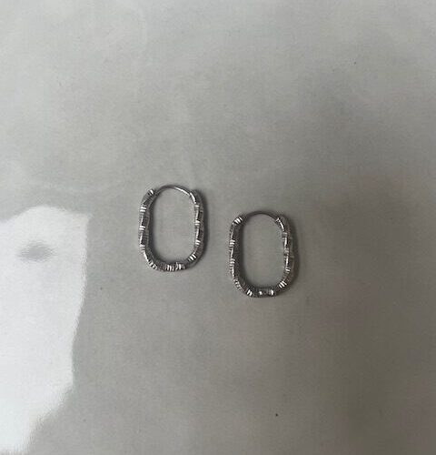 Oval Oorbellen zilver