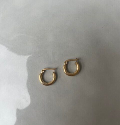 Hoop Oorbellen