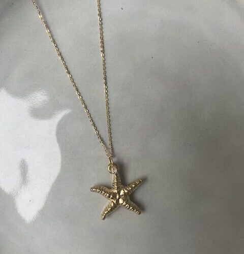 Big Star Ketting goud