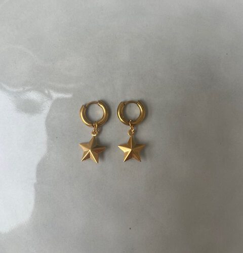 Big Star Oorbellen goud