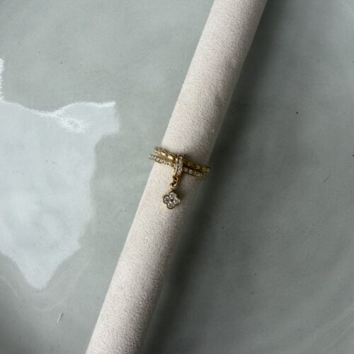 Dubble Charm Ring goud klaver