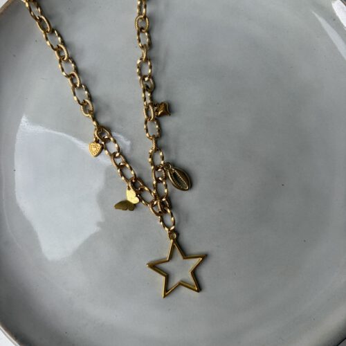 Bedelketting goud (27)