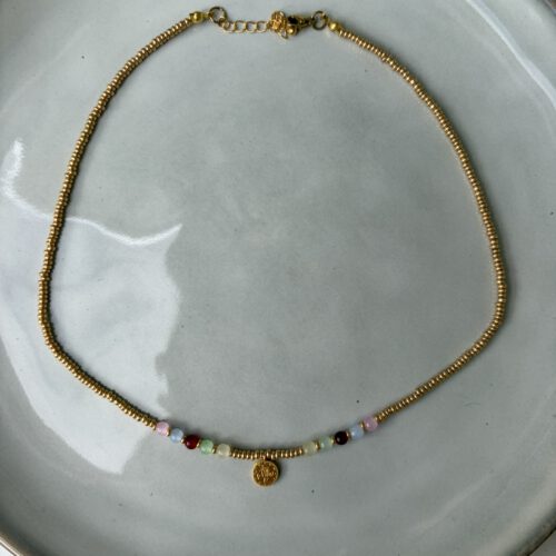 Dq Color Coin Ketting goud