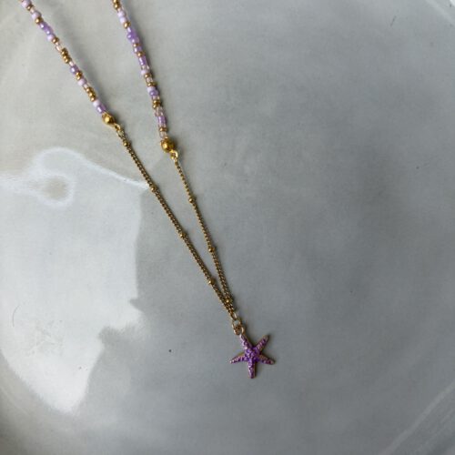50/50 Ketting paars/goud