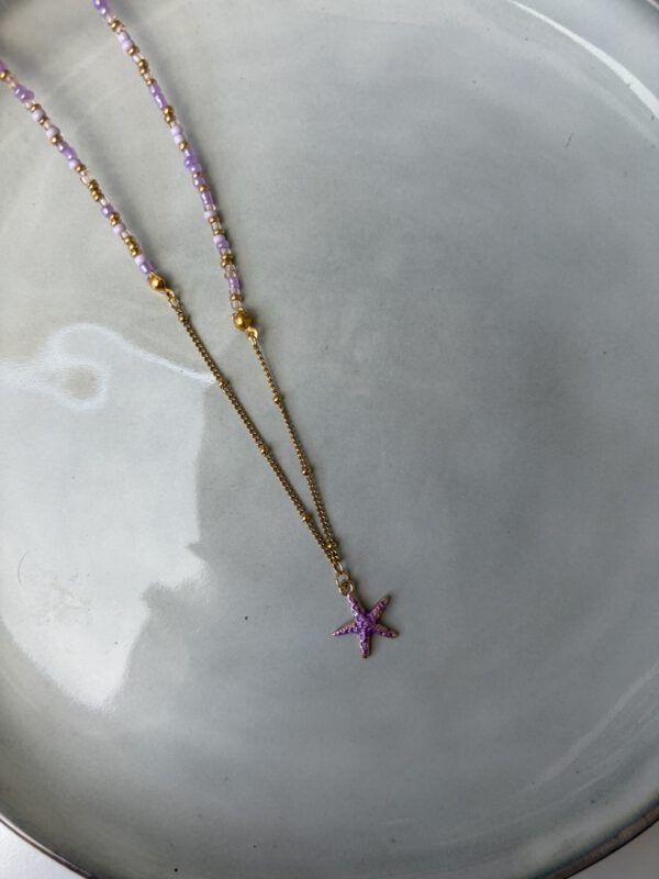50/50 Ketting paars/goud